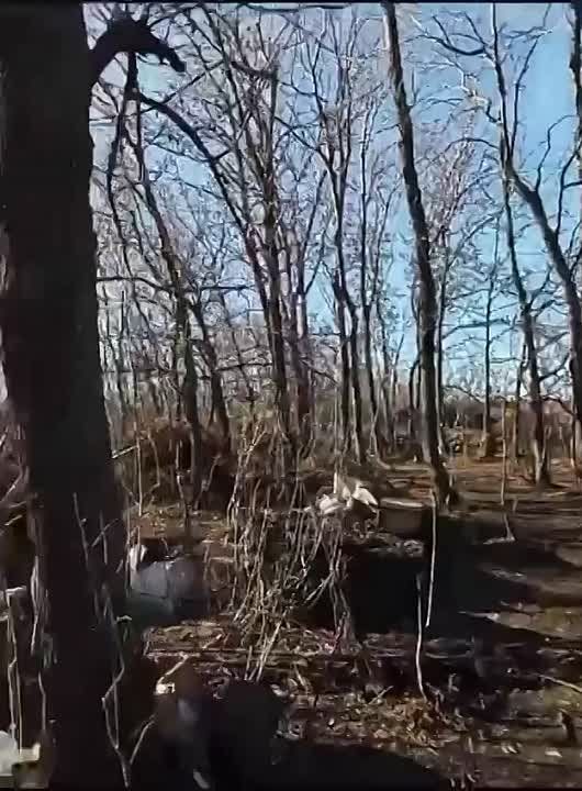 ���� ��������: ������� �� ��������� ����� ���� ������!