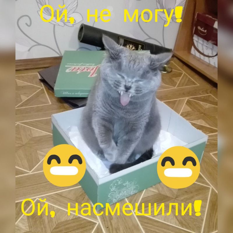 "������� �� ������������". ����������������, �������, �������� � �������, ������� ����� � ������� �����������, �...