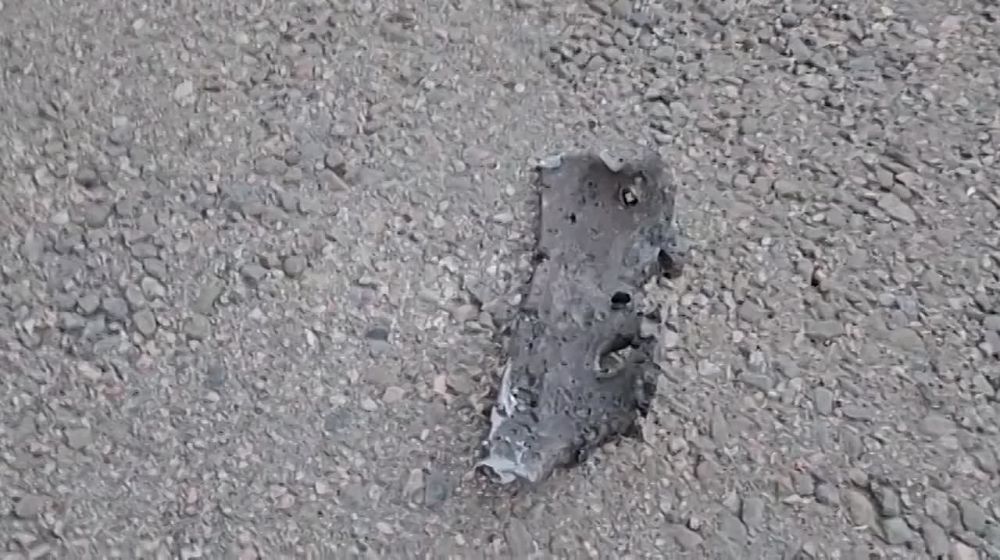 ������ � ����������� ����������� ��������� ����� 25 ��� ��� � ������ ��� � �������� �� � �� ��� �������