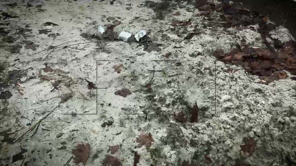 ����� �������: ������� ��� ������� ������������� ������������� �������� � �������