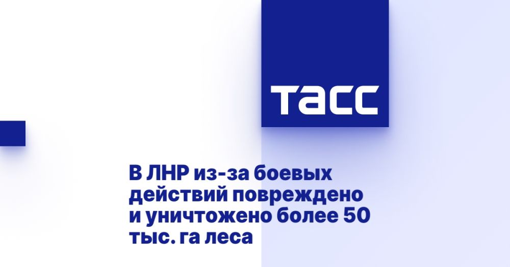 В ЛНР из-за боевых действий повреждено и уничтожено более 50 тыс. га леса