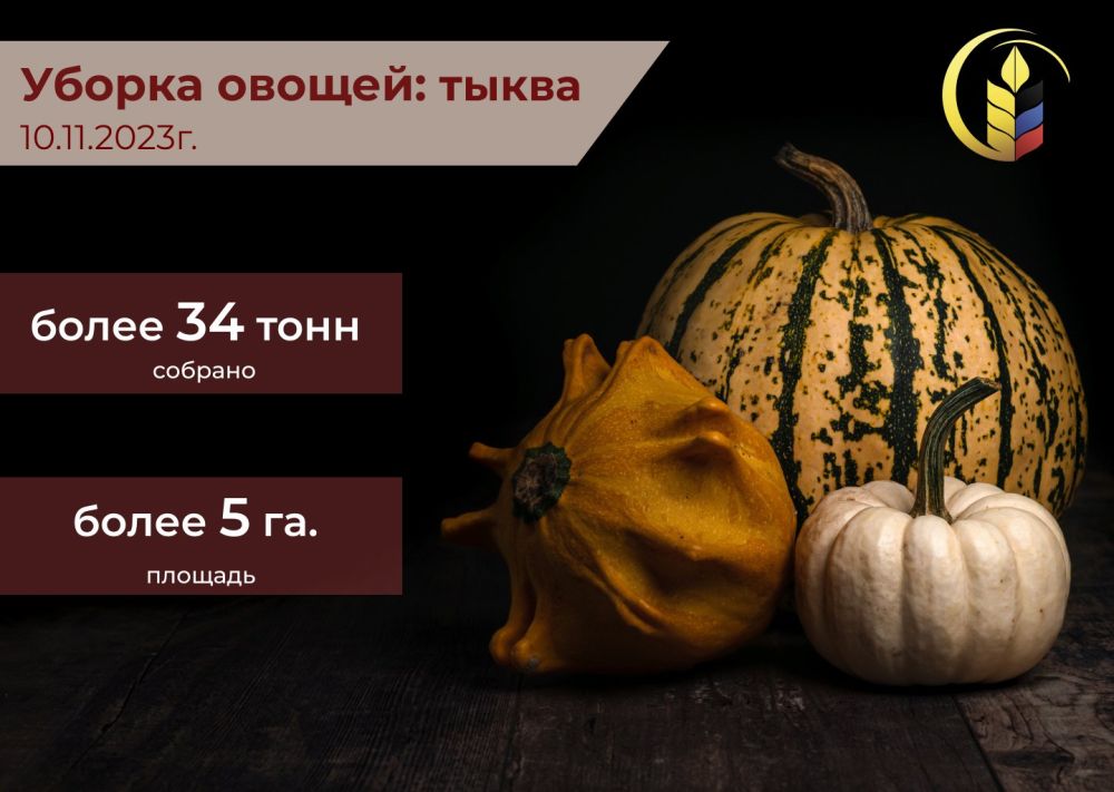� ���������� ���� ��������� �������� �� ������ ������, �� ��������� �� 10 ������ 2023 ������ ����� 34 ���� ����� � ������� ����� 5 ��, ��� ���������� 53,9% � ����������� �����