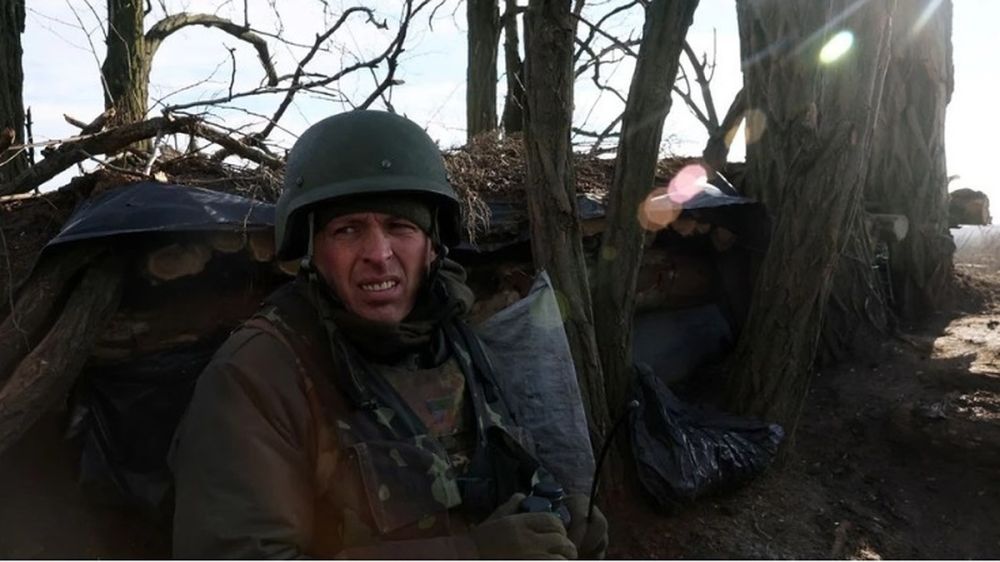 �������� ����� ��� �����: ��� ����� � ������� � ������ �������