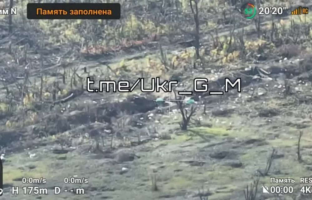 ����� �������� ������� �������� ��� FPV-������ � ������ ���������