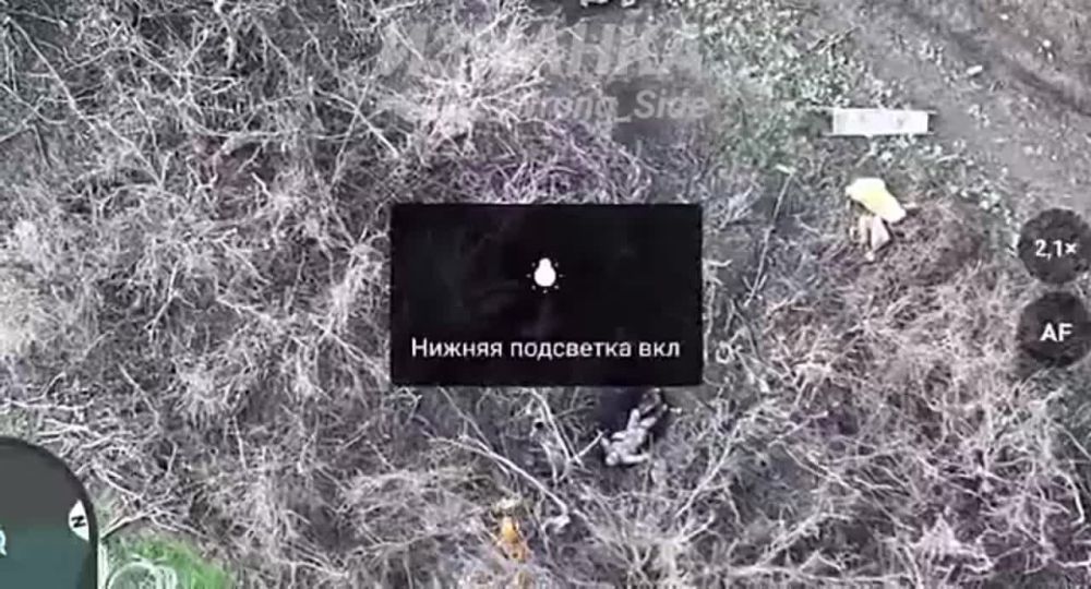 ����� �����: ��������� ���������� �� ���������� ����������� � ������ �.� ��������� ����������� ����