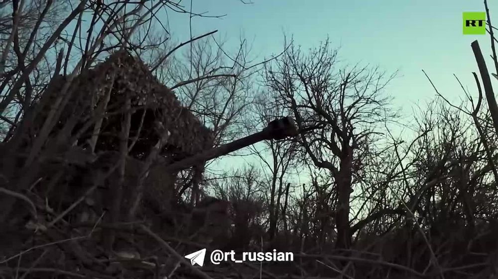 ����� �����: ��������� ��-��� ��������� | RT �� �������