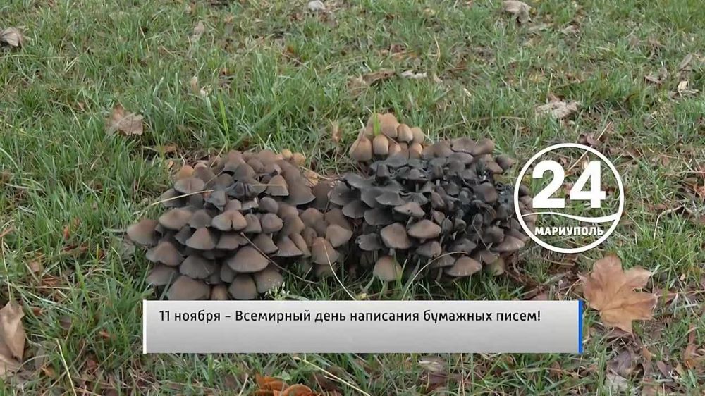 �������� ������ 11.11.2023