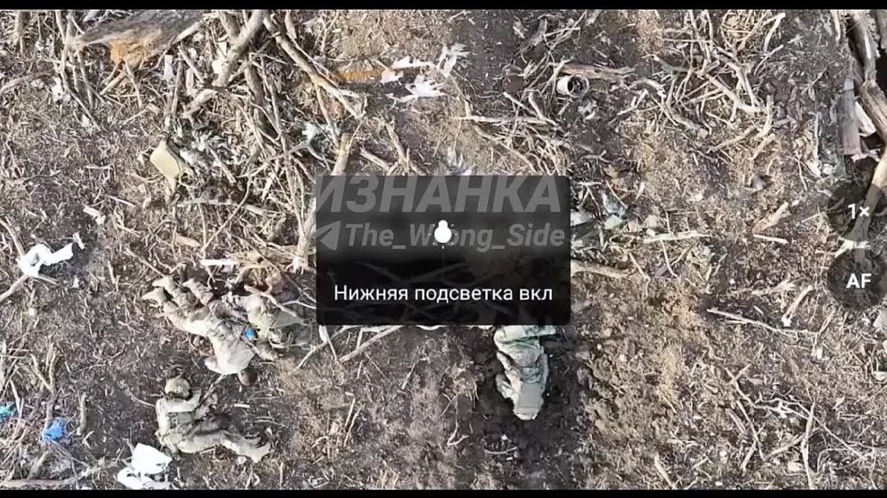 ������� �������: ���������� ��������� ������� ������ ��������� ������������ �� ����������� �����������