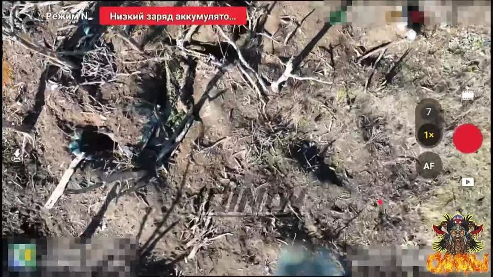 ��������� �������: ������ ���������� ��� ����������� ������� � ����� �� �������� ����� � ������ � ������, ������� ���������� �� ������ � ����� ����������� ��������