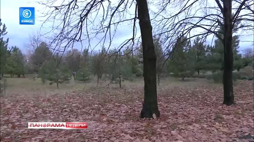 ������ �� �������. ������������ ��� ��� ��������� � �������. 12.11.2023,"�������� ������