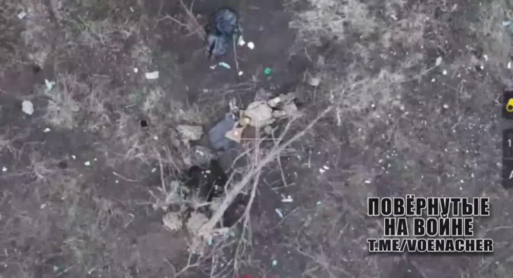 ������� �������: �� ������ ������ ����������, ��� ��������� �� ��������� ����� �� ��������� � ���