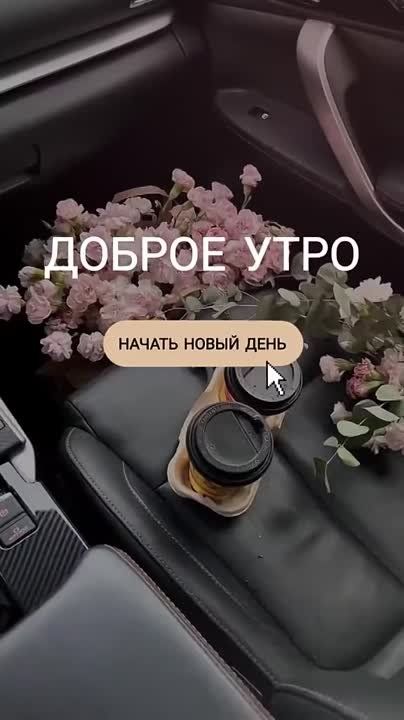 ������ ����!. �������� �����������! ����������� ���� �������������