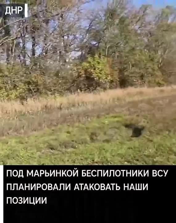 ��������� ���������� ��������� ������������