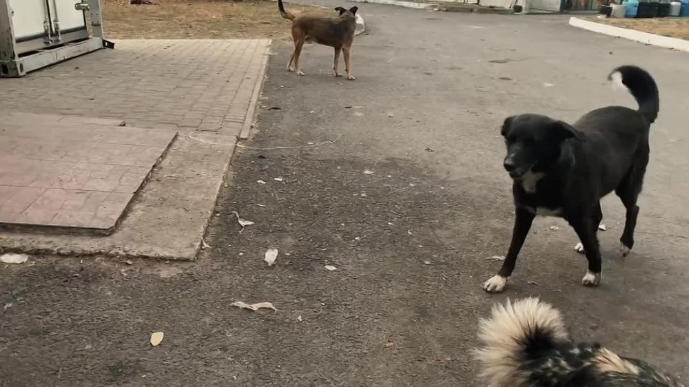 ��������� ������� ���������� ����� ���� ��� ����������