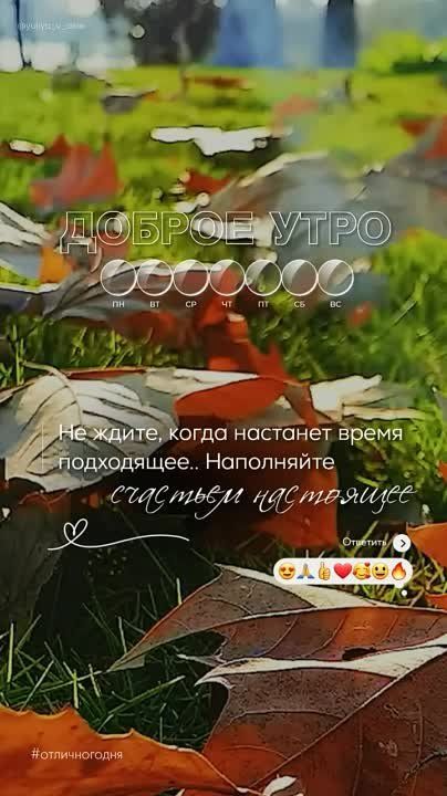 �������� ������: ������ ���� !� ������� ����� ������! ����� ������ ���� ����� ����������, ���������, ������������ � ����� ���������, ���� ���� �� ������� ������!