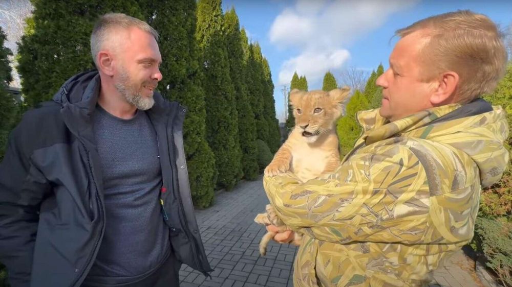 ���-��� �� �������: � ����� � ������-����� ��������� ����� ������