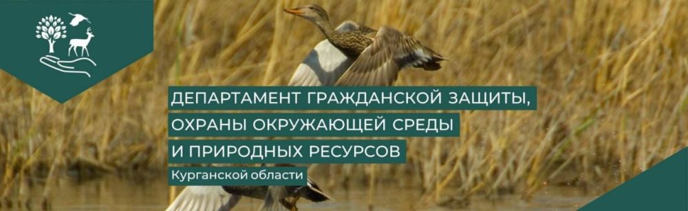���������� ������ ������������ ����������� ������, ������ ���������� ����� � ��������� �������� ���������� �������