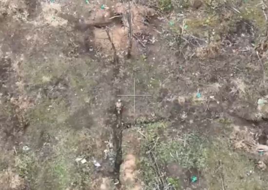 ��������� ������������� ���������� ����������� ����������� �� ����� ������� �����