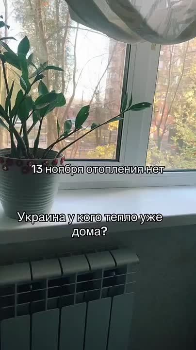 ��� ������: ��������������, 13 ������. ���������� ������ �������� �� ���������� ���������. �� ��������, ��� � ��� ��� ����
