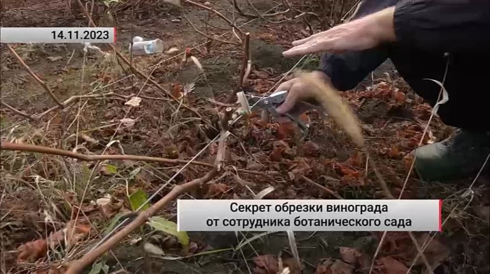 ������ ������� ��������� �� ���������� ������������� ����