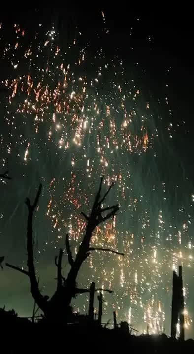 ��� ����� ����������� ���������� ��������� �� ��������
