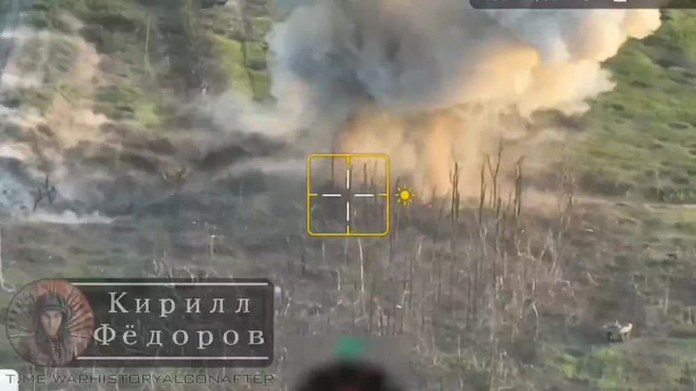 "Солнцепёки" жгут хохлов в лесополосе в районе Клещеевки!