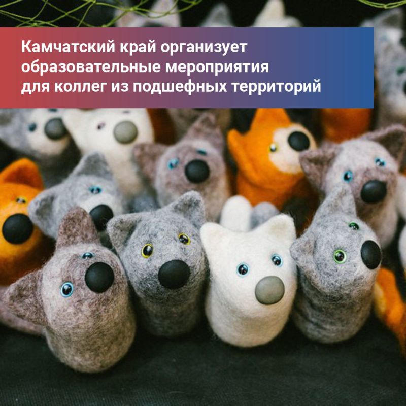 ��� ��������������� ������ ��������� �������� ���������� ����������� ������-������������� ������ ��� ���������� �������� �� ���. ����������� � ������