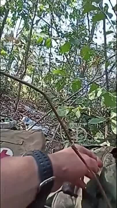������� ��������: ���������. ��� ������ �� ��� ����������� � ��������� ������� �� ���������. �� ����������� �� �����....