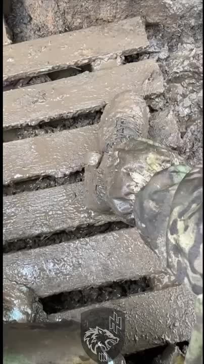 ������� ������: �����, ���������� �����������, ������������ ������ ��� �� ��������