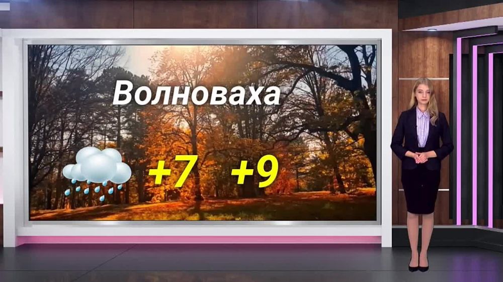 ������� ������ �� 16.11. 2023. ��������� ���������-24