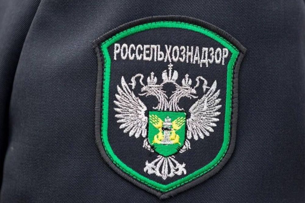 15.12.2023 ���� ����������� ����������������� �� ��� ����������� ���������� ��������� ���������� ����������� ������������������� �������� ���������� � ���������� �� ���������� ������������ ����������
