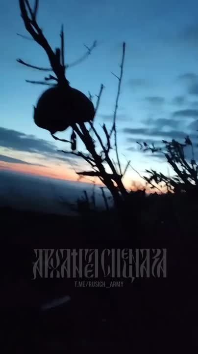 �������, ������� ������. �� ���������� ����������� �������� ���������, ���� ������, ���������� ������� �������� �������