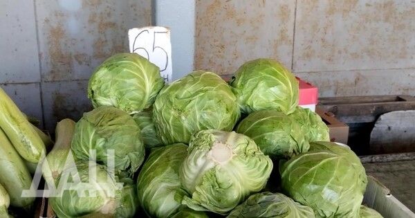 ��� ��������� ���������� ��������� ���������� ��������� ���� �� ��� �������