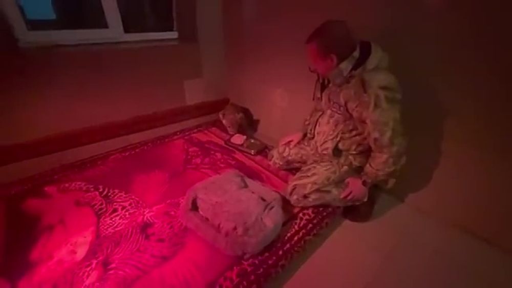 � ���� �������� ������� �� �������