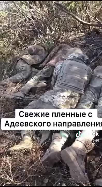 ��� ������: ���������� �����������. � ��������� ���������. ���� ������ ����������