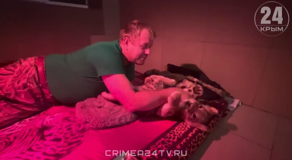 ������ ������ �� ������� ��� ������� � �������� ����� �����