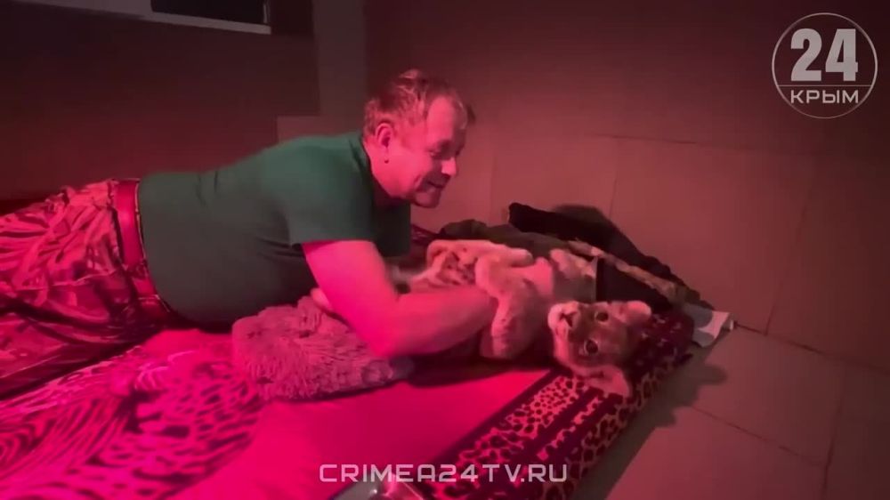 ������ ������ �� ������� ��� ������� � �������� ����� �����