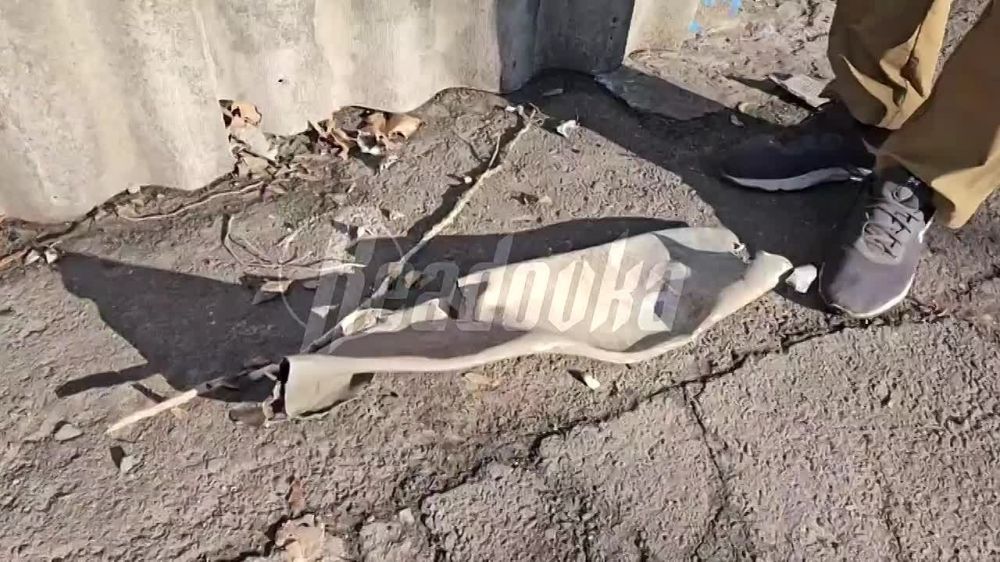 ��������� ����� ���� ����� ������ � �������� ���������� �� ������� ���� �������� �������, ����� ��������� �����