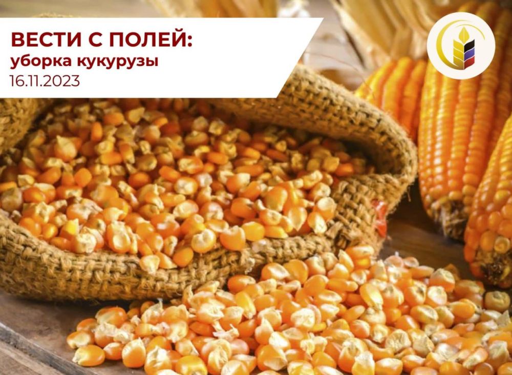 ����� �����: ������������ ������ ��������
