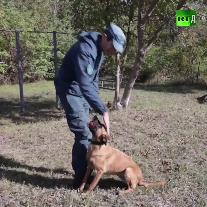 ��� ��� ���������, �� ���� � ��� ����� �� ����� ��������������
