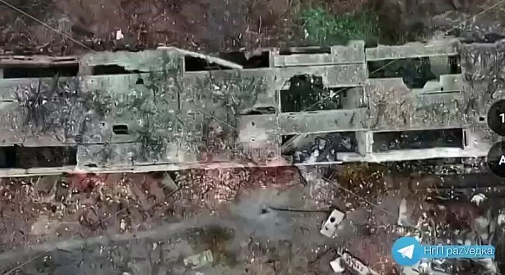 ���� �� �������� ��� �� �������� ��������
