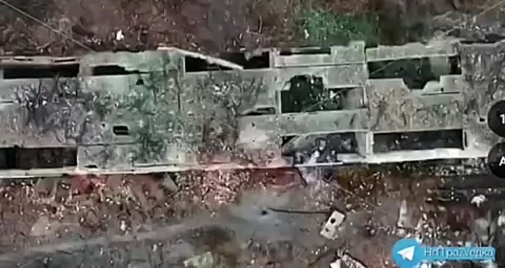 ���� �������: ���������� ����������� - ����� ���������� ������� � ��������