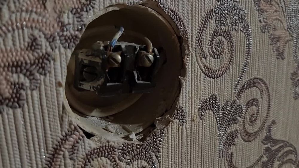 ������ ��������: - ���, ������������ ����, ���� ����� �������