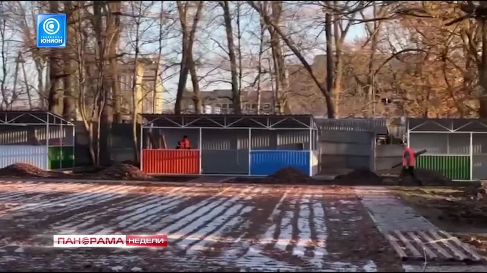 Учиться по-новому! Школы ДНР обретают ,,вторую жизнь,,! 19.11.2023, "Панорама Недели с Мариной Лысенко "