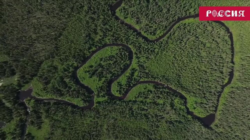 ���������� ������� ������� �������� ����� ��������� � ����������� ������ ������� � ��������� ������� ������ �������� ������������� ��������-����� "������"