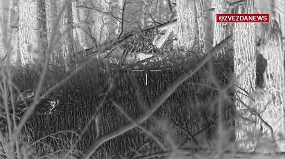 ��������� �������: Headshot !. � ������ � 1000 ������: ���� �������� � ������ ���������� ���������� ����� ���� ����������