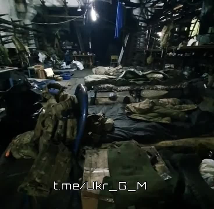 ������� �������: ���-����� � ������� ����������� ����������������" ������