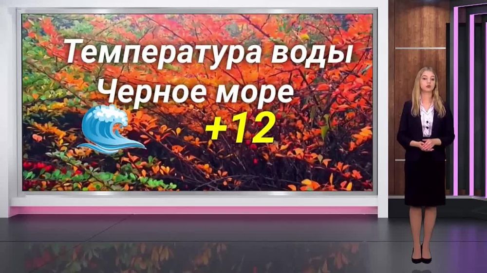 ������� ������ �� 21.11. 2023. ��������� ���������-24