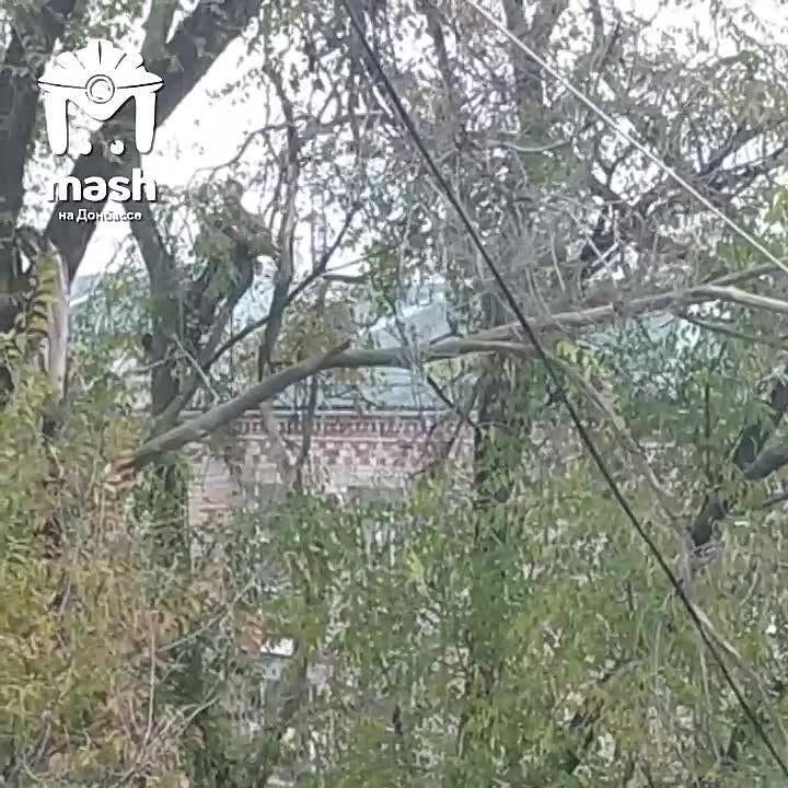 �������� ����� �������� �� ������ ����� ������