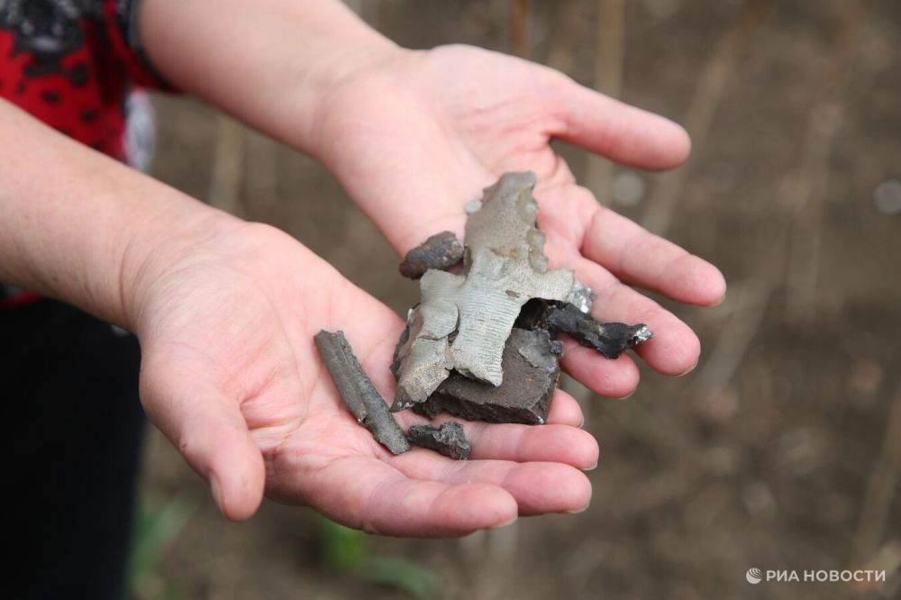 � ��� �� ������ ��� ��������� ��� ������� ���� ������ �������